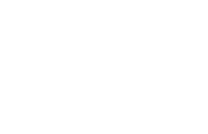 Nadační fond VIKI